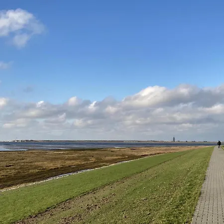 Duene 43 דירה וגנרוגה